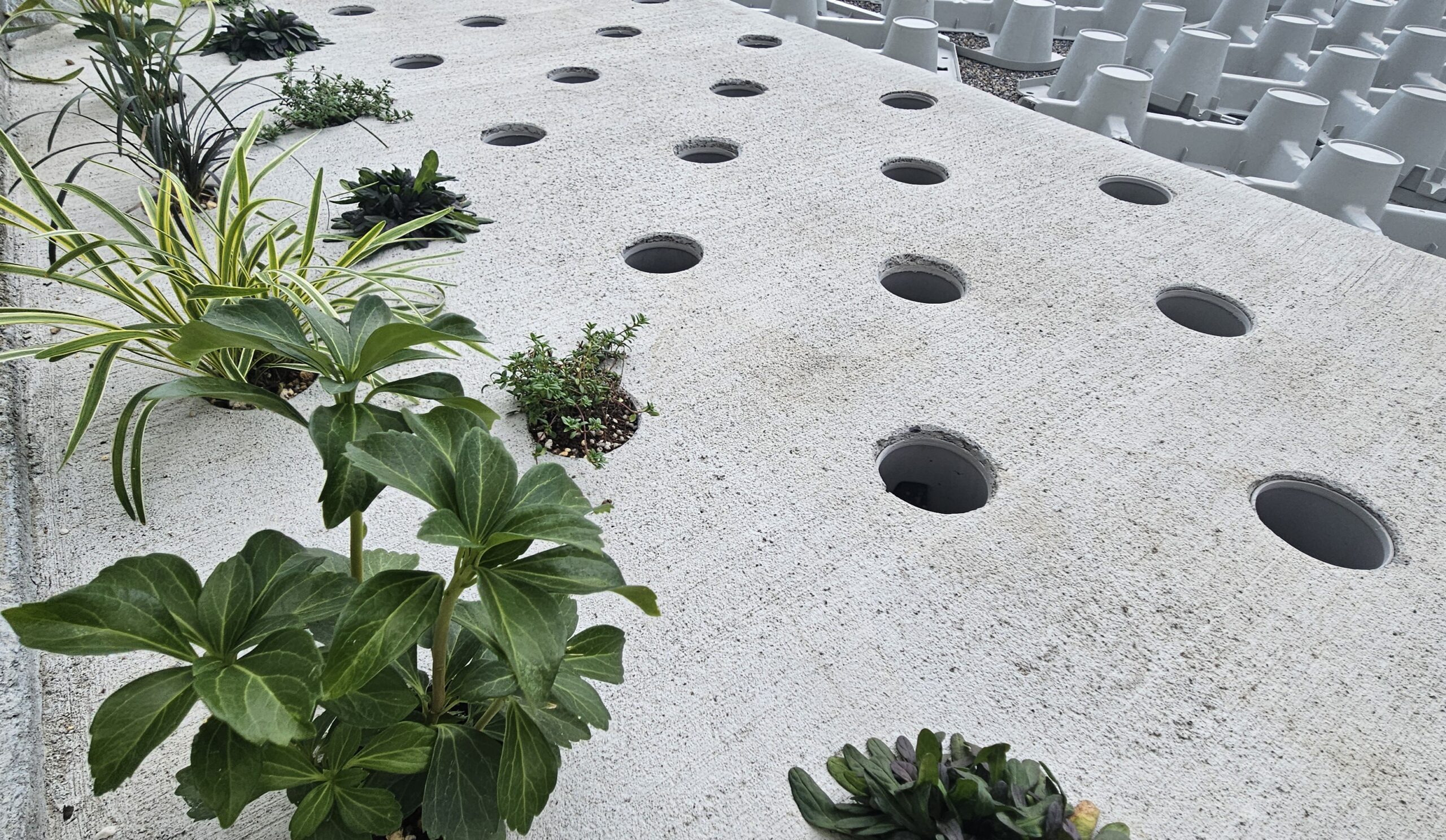 グリーンインフラ・レインガーデンにDotconは最適!