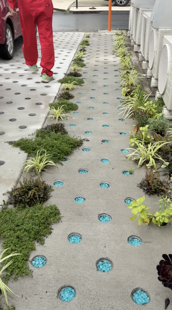 🪴Dotcon × ガーデニング、始動しました!