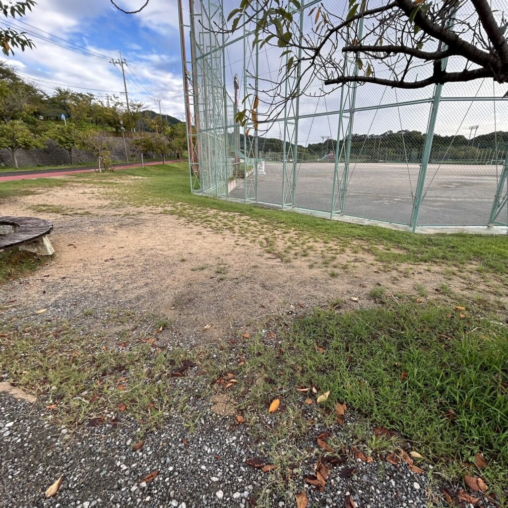 画像：<?= wp_strip_all_tags($cases_ba_beforecap);?>