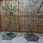 サムネイル:
