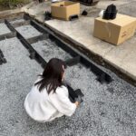 サムネイル：