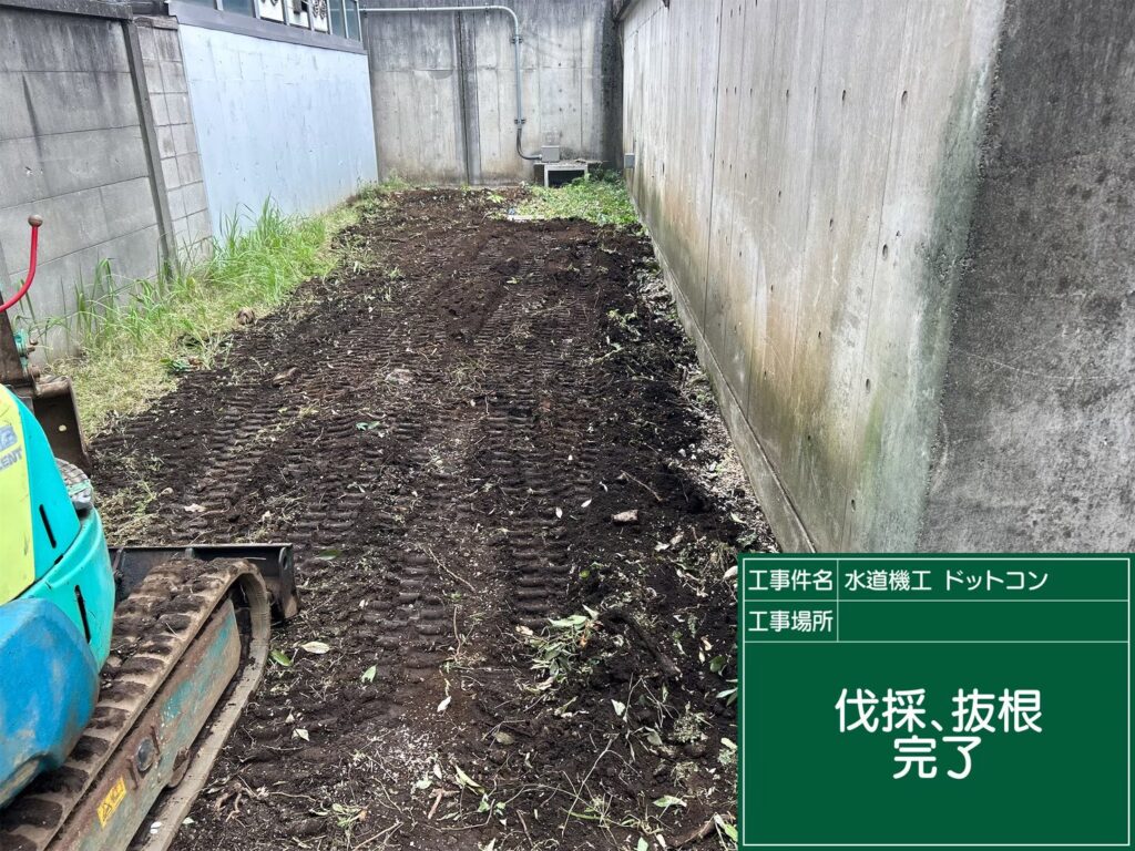 画像: