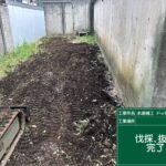 サムネイル: