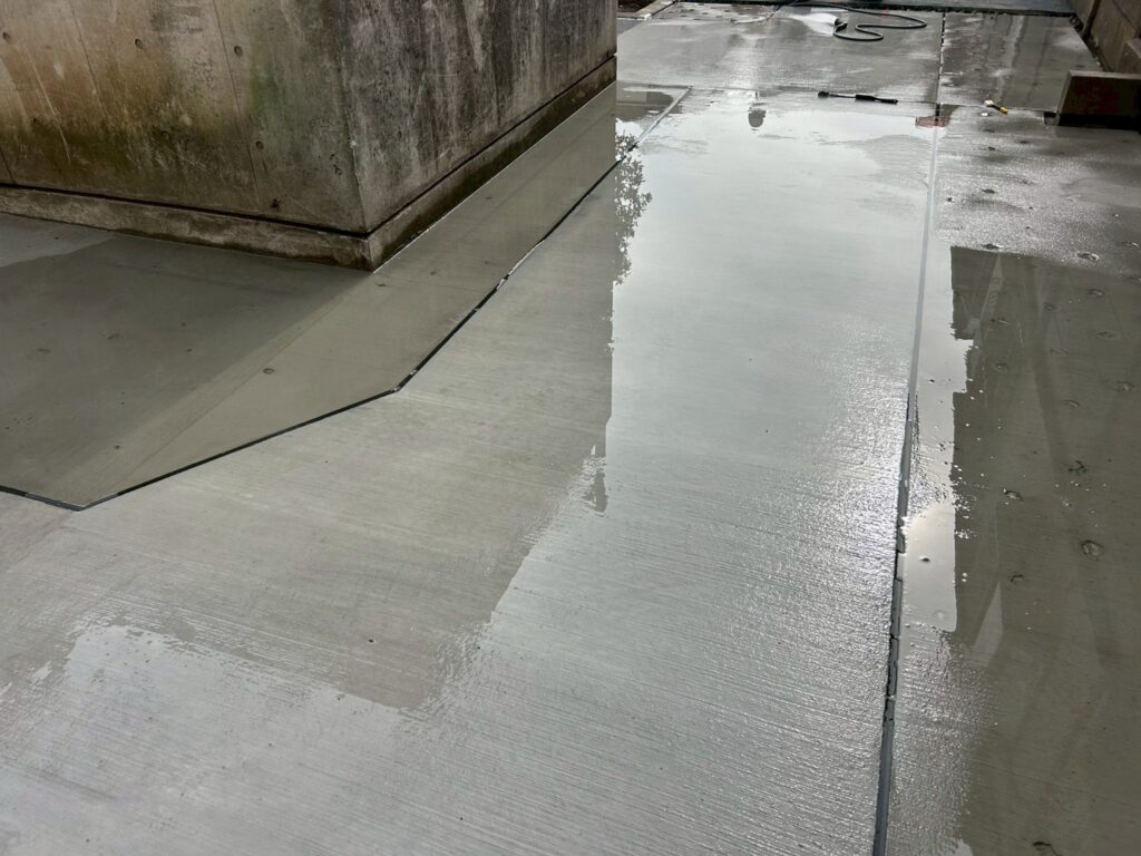 画像: