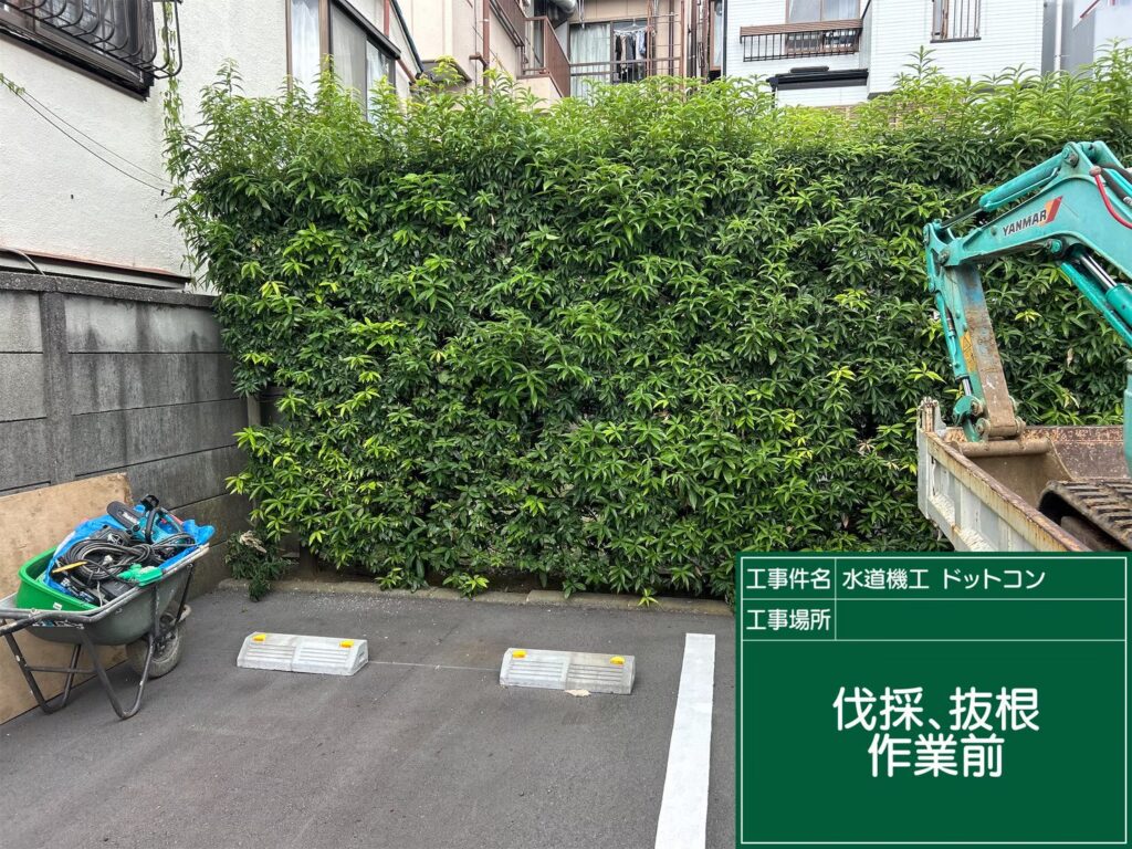 画像:
