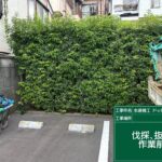 サムネイル: