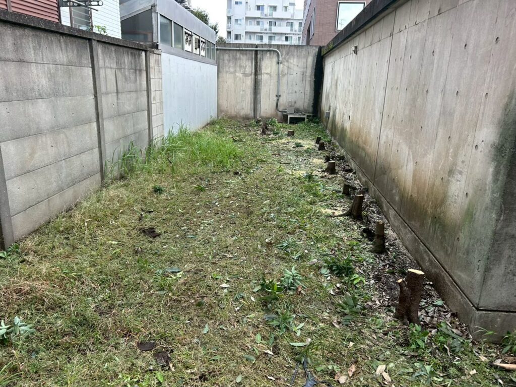 画像: