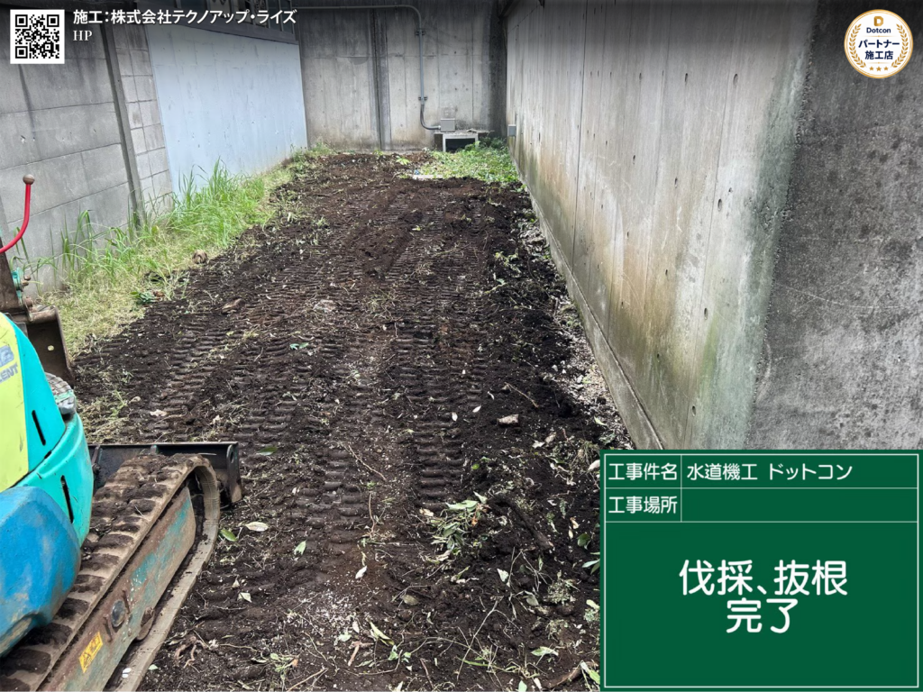 画像: