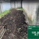 サムネイル: