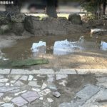 サムネイル: