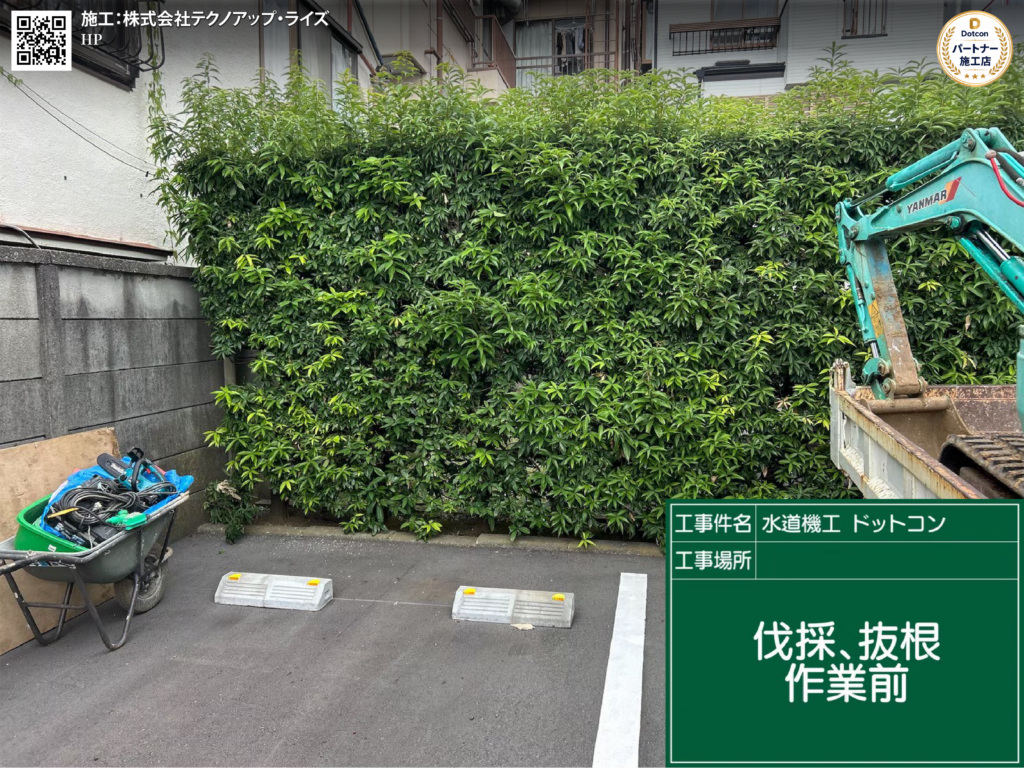 画像: