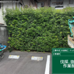サムネイル: