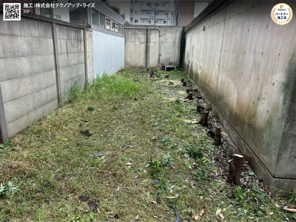 画像: