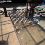 サムネイル：